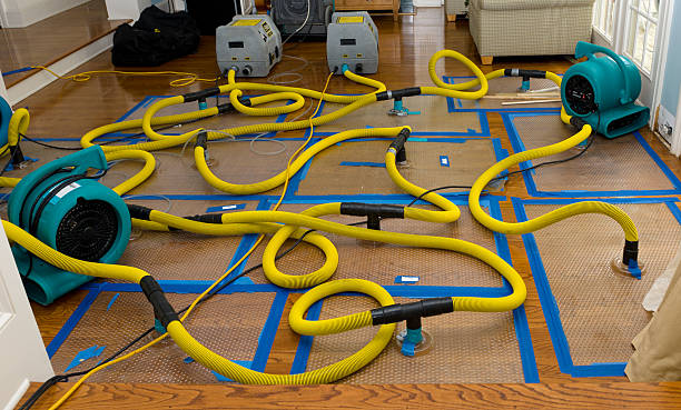 Professional Crawl Space Water Removal technician working in Jamestown, CA